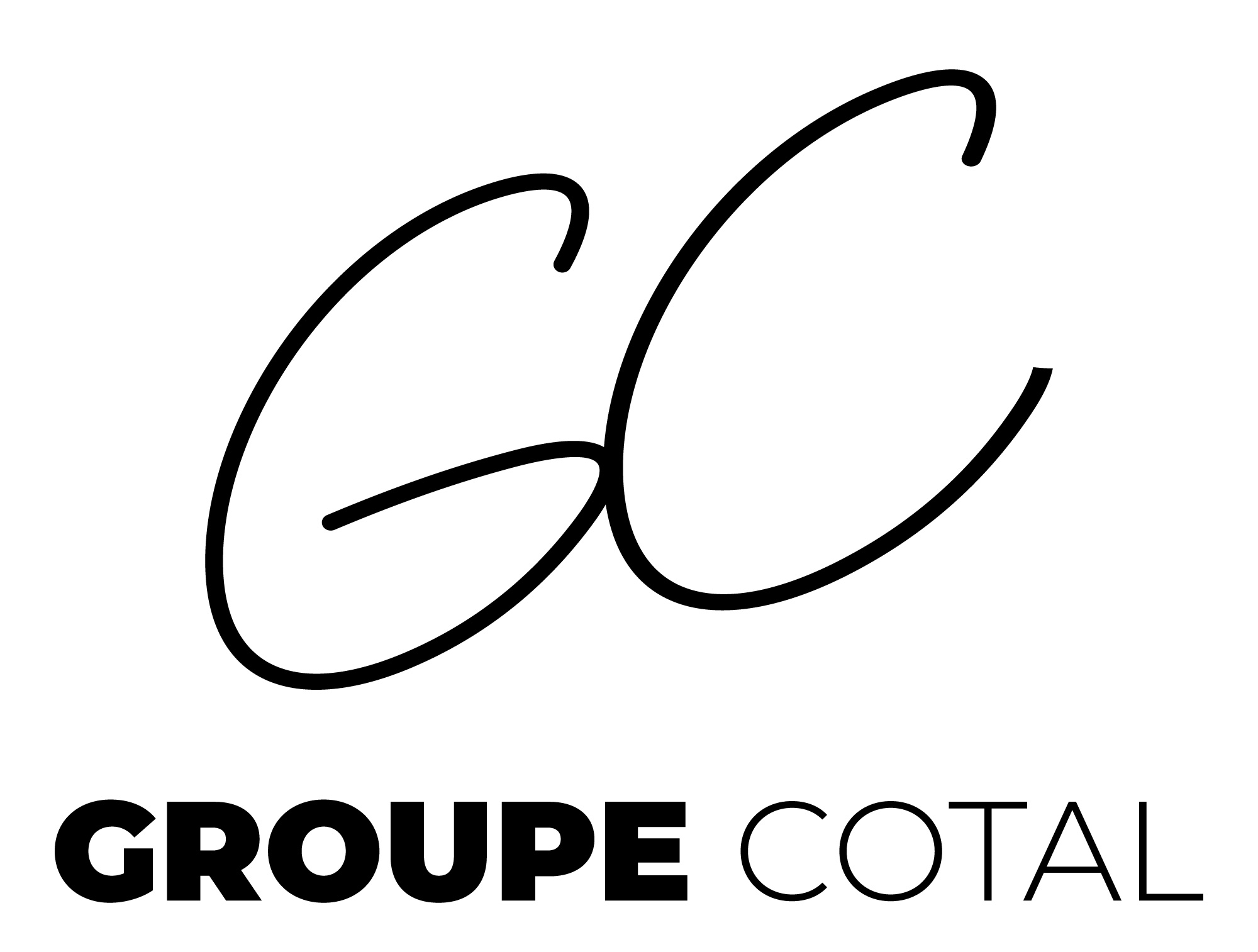 D tail Occasion Groupe COTAL